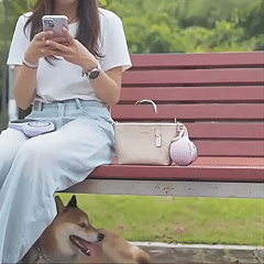 Tragbare Edelstahl-Trinkflasche für Hunde und Katzen mit Napf – Mini Gassi-Flasche (285ml)